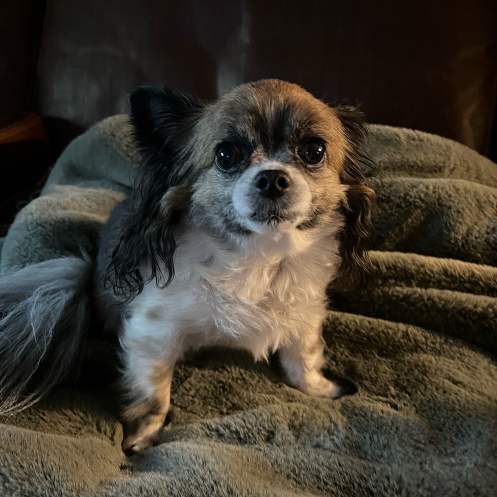 Meet your Posher, Diana R.